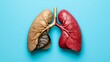 © prime stock - A pair of lungs, one healthy and pink, the other diseased and gray, against a blue background.