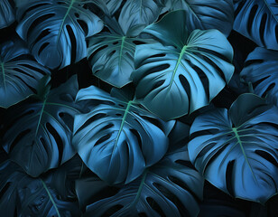 Monstera leaves background