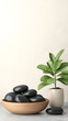 © Bi - A serene arrangement of smooth black stones in a wooden bowl with a green plant in a minimalist setting.. 3D illustration relax and free mind concept
