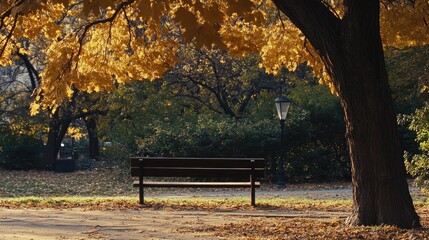 Sticker - An empty park bench under a tree in autumn, symbolizing peaceful solitude and quiet reflection.