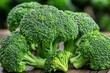 © Thanyarat - Realistic close-up of fresh broccoli florets, showing their rich green color and antioxidant content for supporting immune health