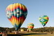 © Simone Anne/Stocksy - Hot air balloons and fields or hills