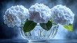 © arsyi_06 - Three white hydrangea blossoms arranged in a glass vase on a dark background.