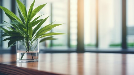 Bright modern office interior with plants and large windows overlooking a cityscape on a sunny day