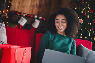 Poster - Photo of pretty young woman sit couch laptop shop bags wear sweater christmas festive time apartment indoors