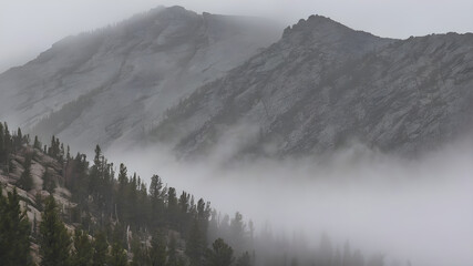 amazing view of the foggy mountain from peak ai generated image, aitravel background.