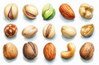 © BOTAHRY DEX - Almond, pistachios, cashew nuts set. Watercolor nut collection. Different types of nut isolated, food clipart