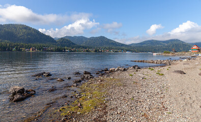 Wall Mural -  Landscape photo taken at the Teletskoye lake coast