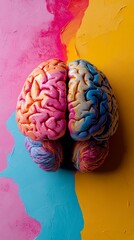 Vibrant multicolored model of human brain hemispheres on abstract background with pink, yellow, and blue paint splashes, symbolizing creativity and cognition.