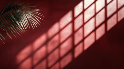 A play of light and shadows cast on a deep red wall, featuring a palm leaf, creating a serene and artistic atmosphere.