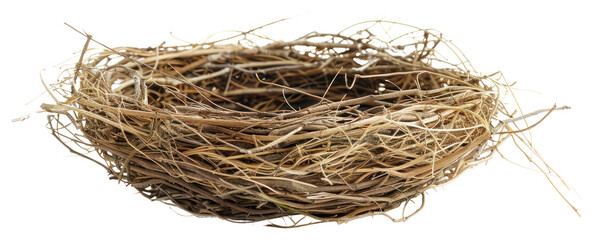 PNG Natural bird nest isolated background