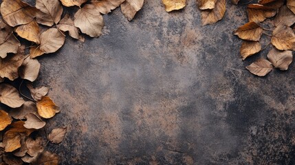 creative backdrop with dried leaves for empty space