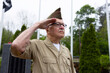 © Raymond Forbes LLC/Stocksy - Senior Citizen military man salutes