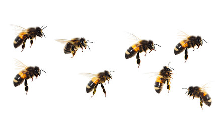 Poster - Detailed Macro View of Stunning Bees in Flight During Pollination Generative AI