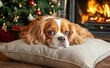 © VIK - Christmas decorations and lights adorn this cozy winter evening with a Cavalier King Charles Spaniel by the fireplace
