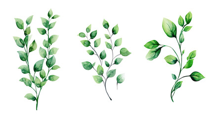 Poster - Elegant Watercolor Collection of Greenery Branches and Leaves Generative AI