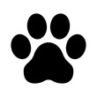 © zky icon - paw