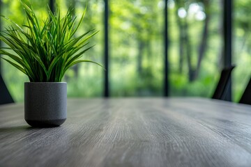 Green potted plant on a wooden table with a blurred natural background.