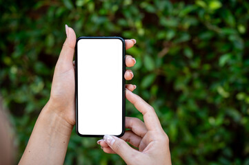 Wall Mural - A close-up of a woman's hand holding a smartphone, set against a blurred background of green bushes.