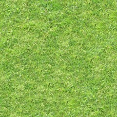 Seamless texture of the grass surface