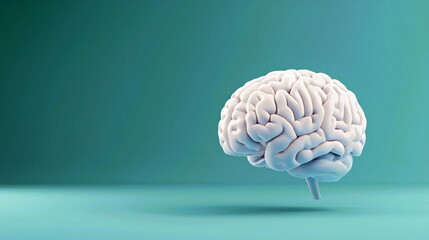Aufkleber - Exploring the Intricacies of the Human Brain Structure, Function, and Mysteries