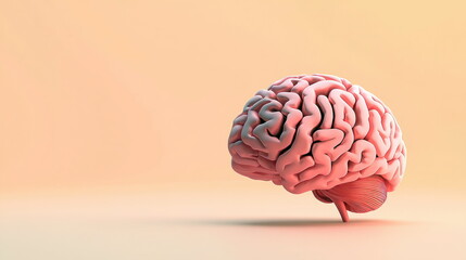 Poster - Exploring the Intricacies of the Human Brain Structure, Function, and Mysteries Revealed