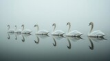 Seven white swans swimming in a line on a calm lake with fog in the background, their reflections mirroring them in the water.