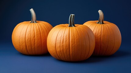 Poster - pumpkins on dark blue background for micro stock image