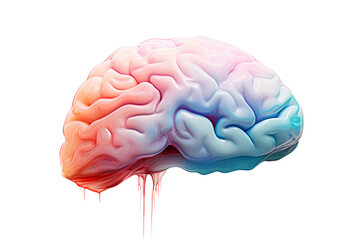 Poster - Colorful brain illustration representing creativity and intelligence on a white isolated background.