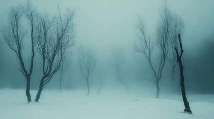 Wall Mural - eerie winter forest scene with leafless trees and fog