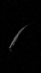 Wall Mural - Vertical Close Up of Oumuamua Interstellar Space Asteroid Tumbling Through Space Visiting Solar System with Stars Background. 3D Astronomy Animation 4K