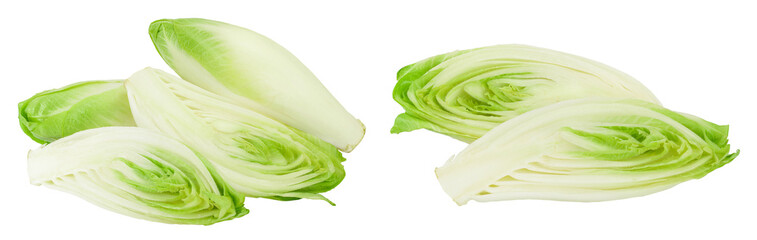 Wall Mural - Chicory salad isolated on white background with full depth of field.