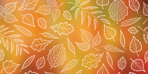 Wall Mural - Autumn background of leaves, vector design	