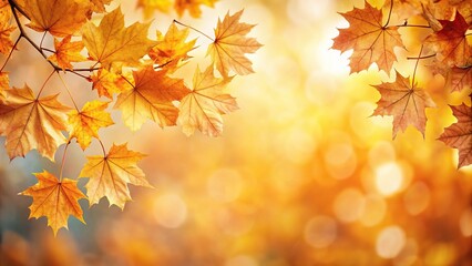 fall leaves in spring landscape wallpaper background