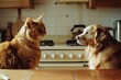 © Victor Bertrand - A ginger cat and a golden retriever face each other in a kitchen setting, sharing a soft moment of mutual curiosity and peaceful companionship.