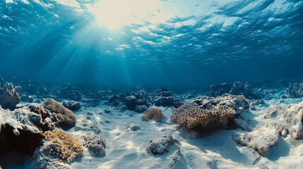 Wall Mural - blue ocean surface seen from underwater: a view from underwater looking up at the blue ocean surface