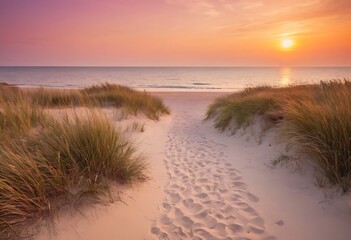 Wall Mural - a path leads through tall grass on a sandy beach towards a vibrant sunset.