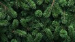 © Waqas - Colorful background with green fir tree branches from top view for New Year celebration concept