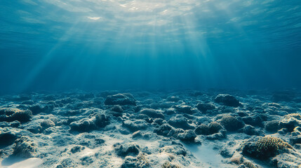 Wall Mural - Empty Underwater Ocean Bottom Background with Copy Space: An underwater view of the ocean floor with ample empty space, suitable for adding text or design elements.