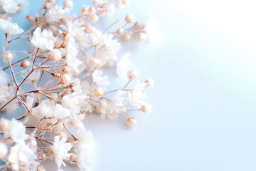 Sticker - A beautiful arrangement of delicate white flowers lies against a pristine white backdrop, offering a serene and dreamy atmosphere ideal for various creative projects