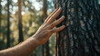 © sajid Pixel - Man's hand touching a tree trunk. Close-up of a hand touching pine bark, conveying a wild forest travel and ecology concept.