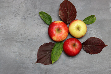 Canvas Print - Red apples and autumn leaves on gray background. Top view, copy space