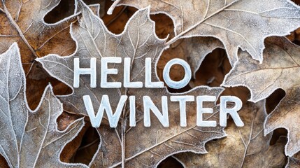 Wall Mural - Hello Winter: Frost-Covered Leaves with Seasonal Greeting