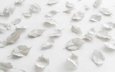 Poster - Delicate silver leaves scattered on a light background for artistic decoration and creative projects in natural light