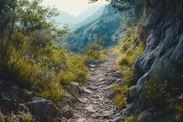 Poster - A winding path in a mountainous terrain with rugged rocks and greenery