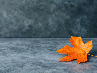 Poster - Single orange maple leaf lying on gray table background