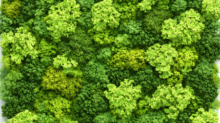  Reindeer moss wall: green wall decoration with lichen (Cladonia rangiferina).