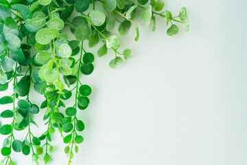 Poster - Vibrant green leaves cascade beautifully, accentuating the simplicity of the white background, perfect for enhancing designs focused on nature and tranquility