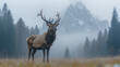 © sakawduan - A majestic deer and elk standing in the forest, surrounded by wildlife and nature, with their antlers proudly displayed amidst the tall grass in a peaceful woodland scene