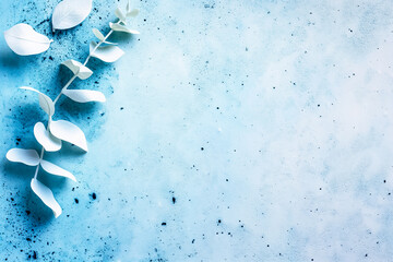 Poster - Delicate white leaves contrast beautifully against a calming blue background, evoking a sense of peace and inspiration for art and design enthusiasts seeking simplicity
